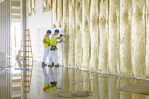 Best Commercial Insulation in Kendall West, FL